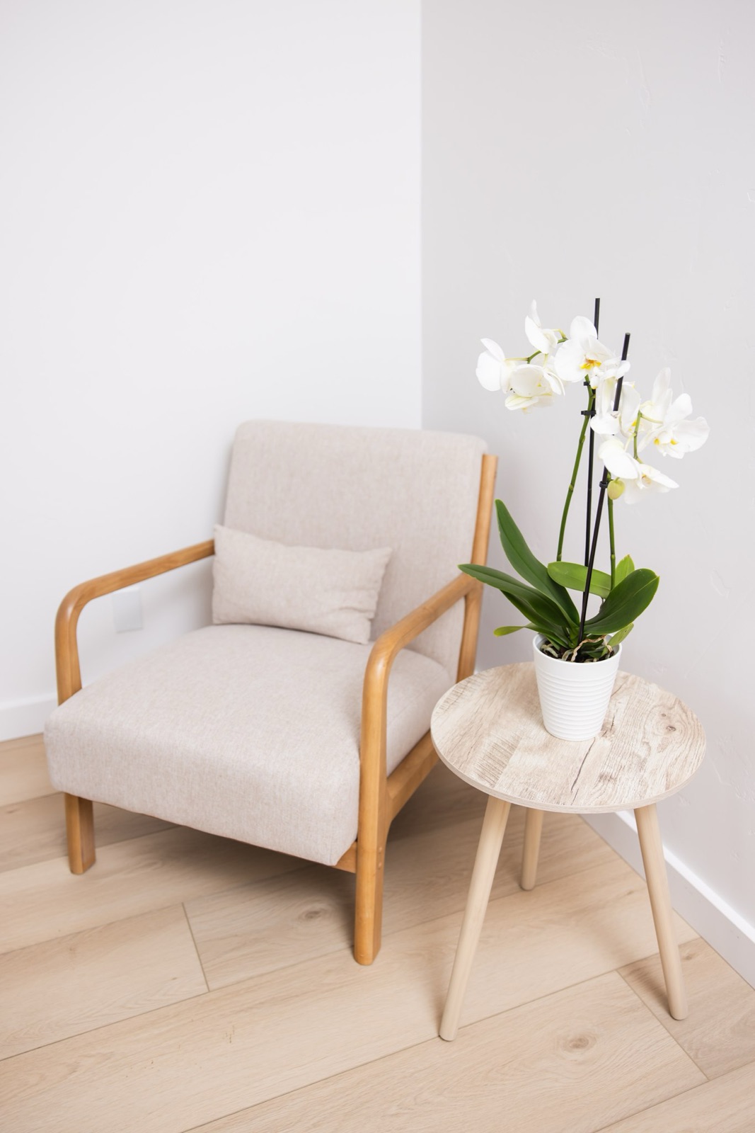 A waiting-room corner at BioPeak with an armchair and orchid