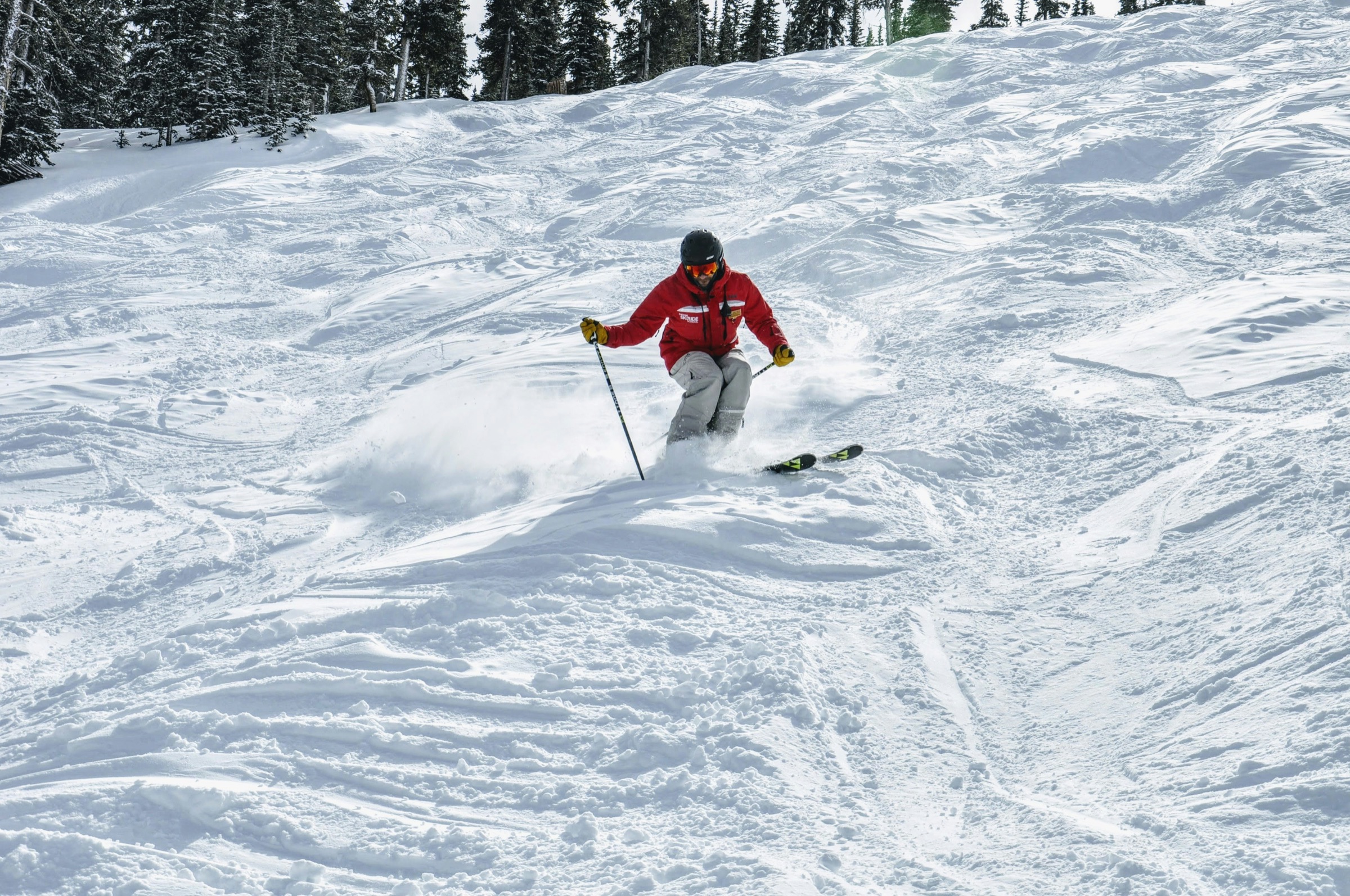 A skier carves through fresh snow